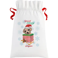 Animal Club International™ Oversized Gift Bag
