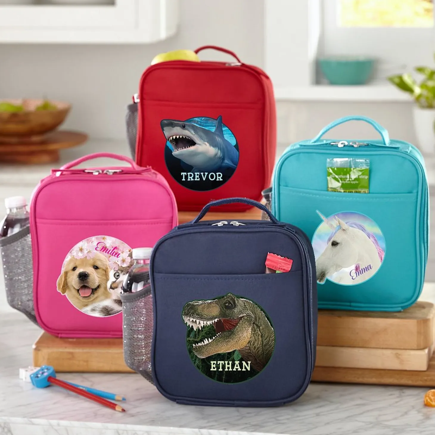 Animal With An Attitude Lunch Box