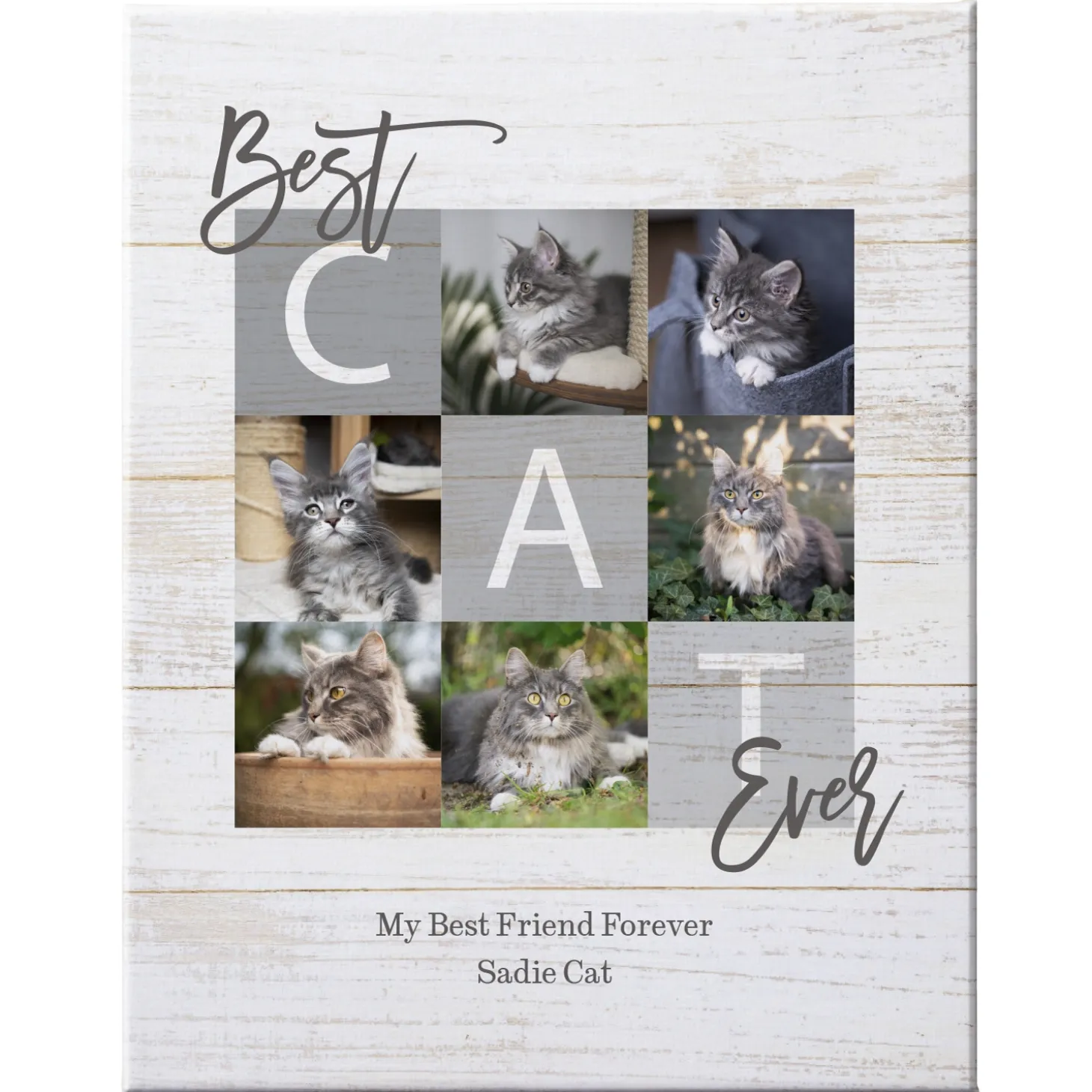 Best Pet Ever Photo Canvas