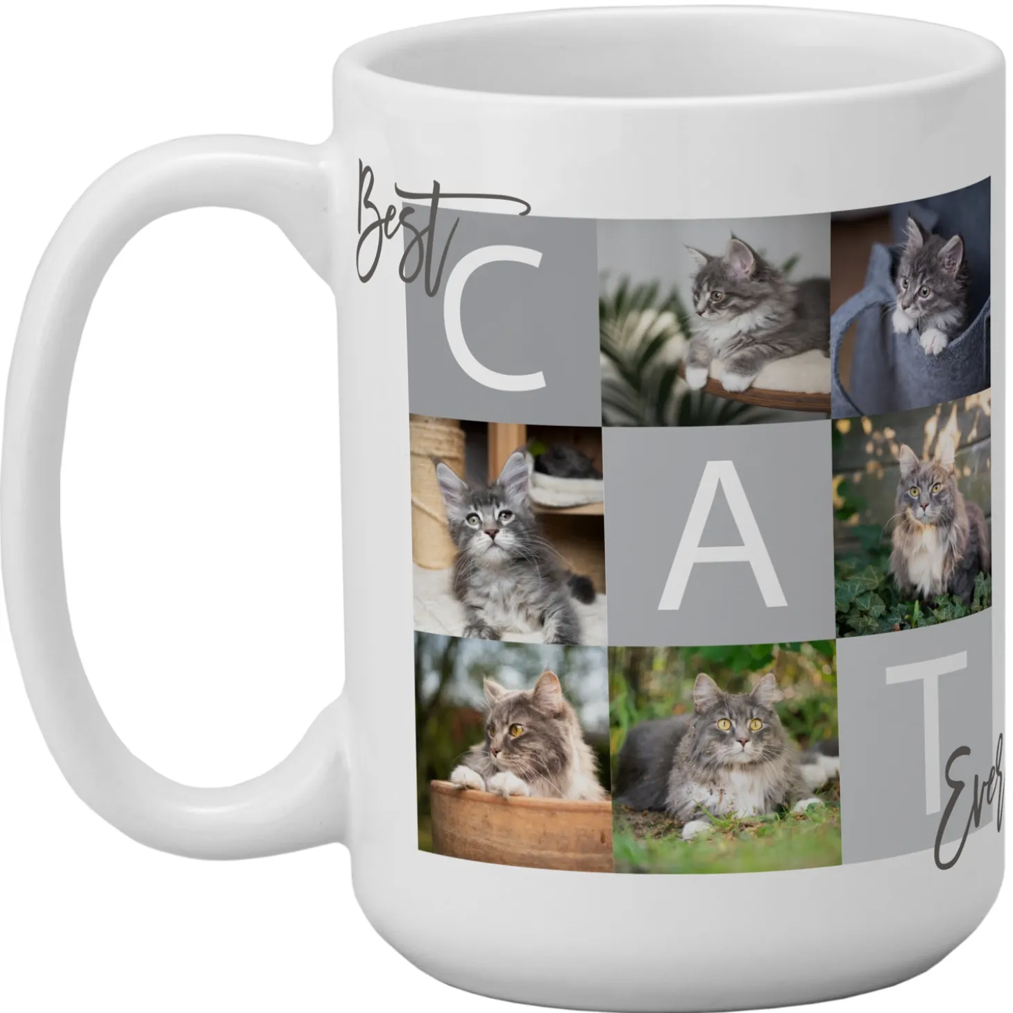 Best Pet Ever Photo Mug