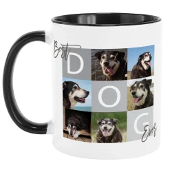 Best Pet Ever Photo Mug