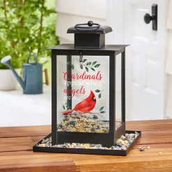 Cardinals Appear When Angels Are Near Bird Feeder