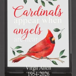 Cardinals Appear When Angels Are Near Bird Feeder