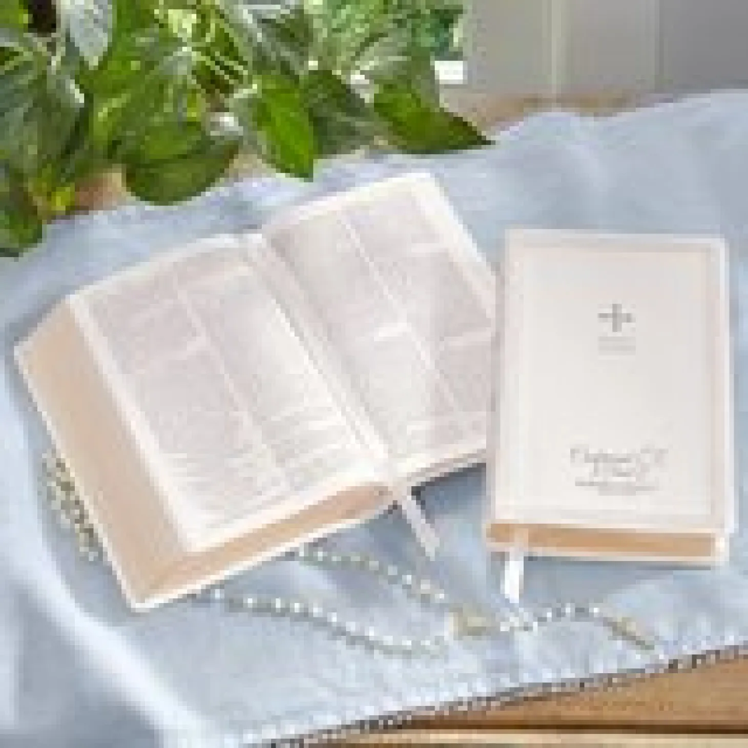 Confirmed In Christ Catholic Bible