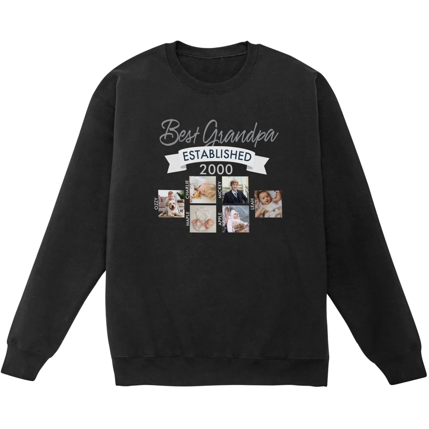 Established Photo Sweatshirt