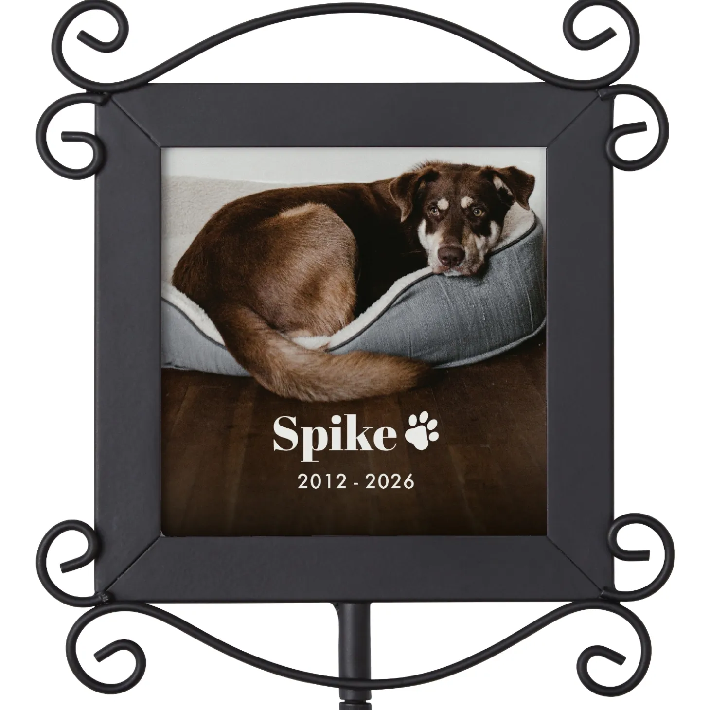 Forever Remembered Pet Memorial Photo Garden Stake