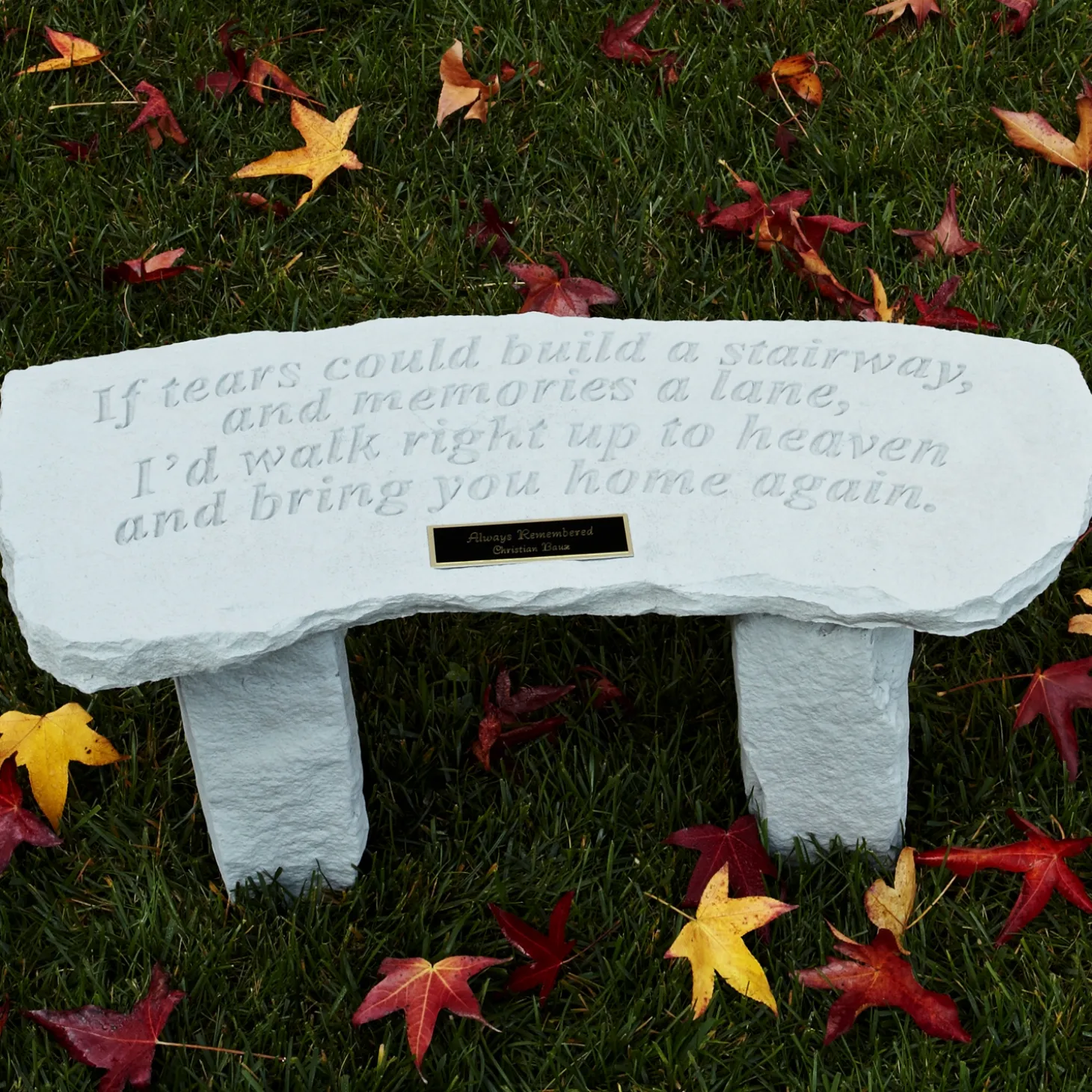 If Tears...Garden Bench
