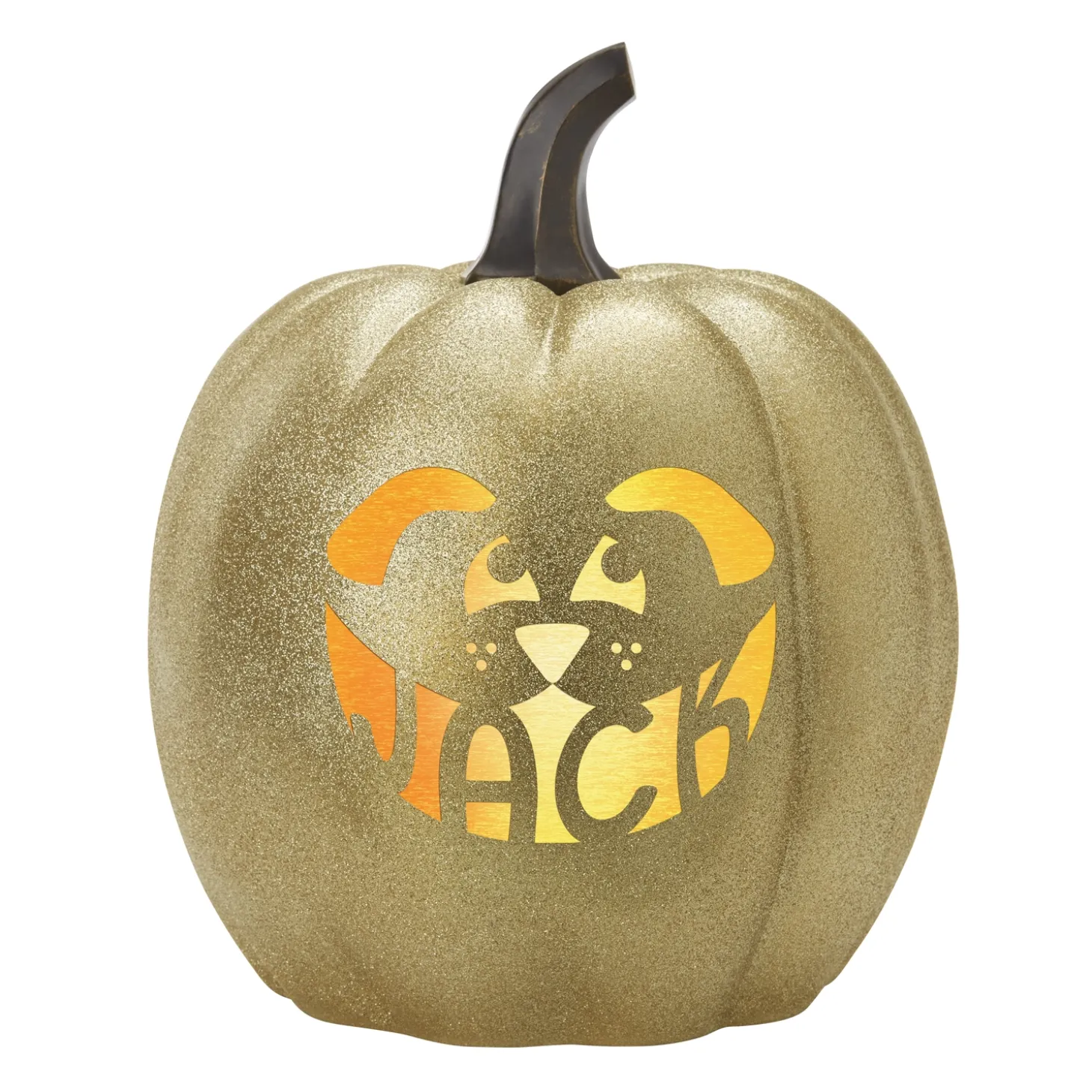 Light-Up Design Your Own Pumpkin Family