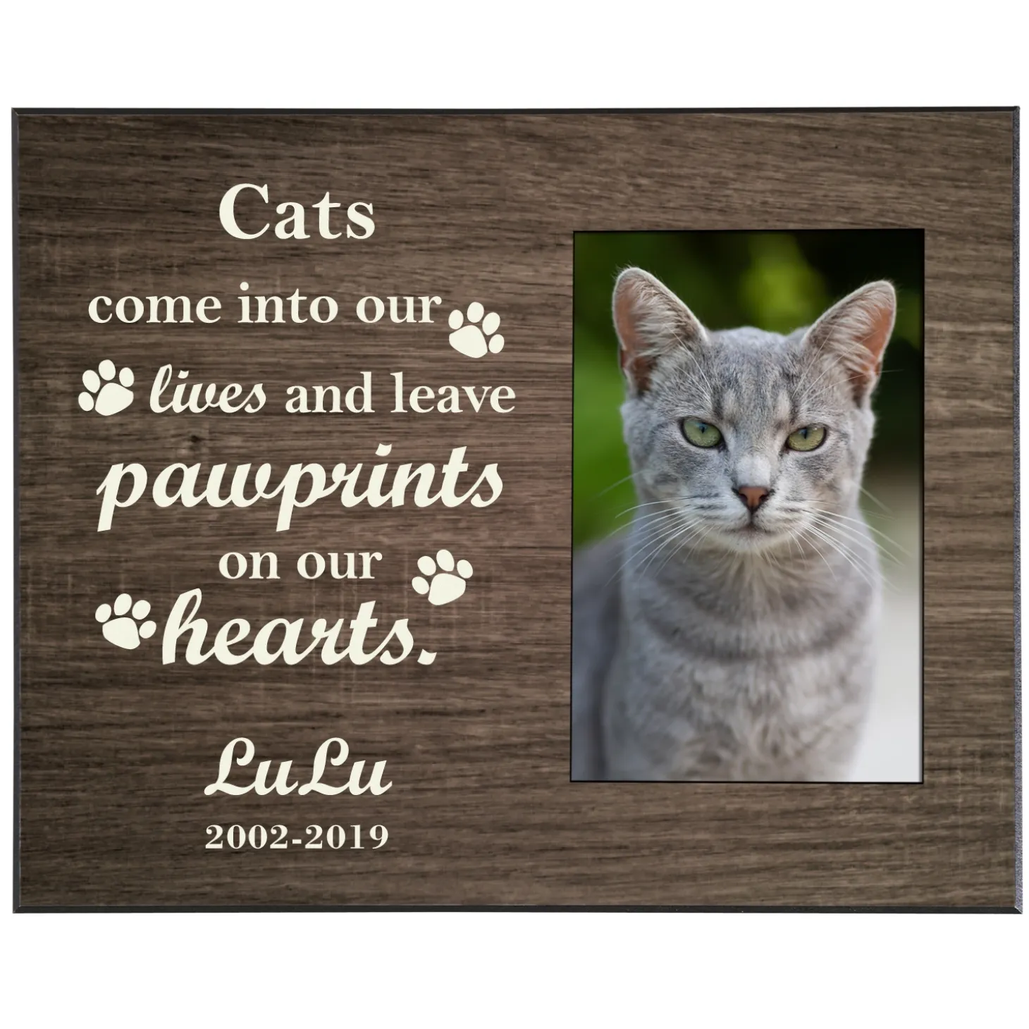 Pawprints in Heaven Frame