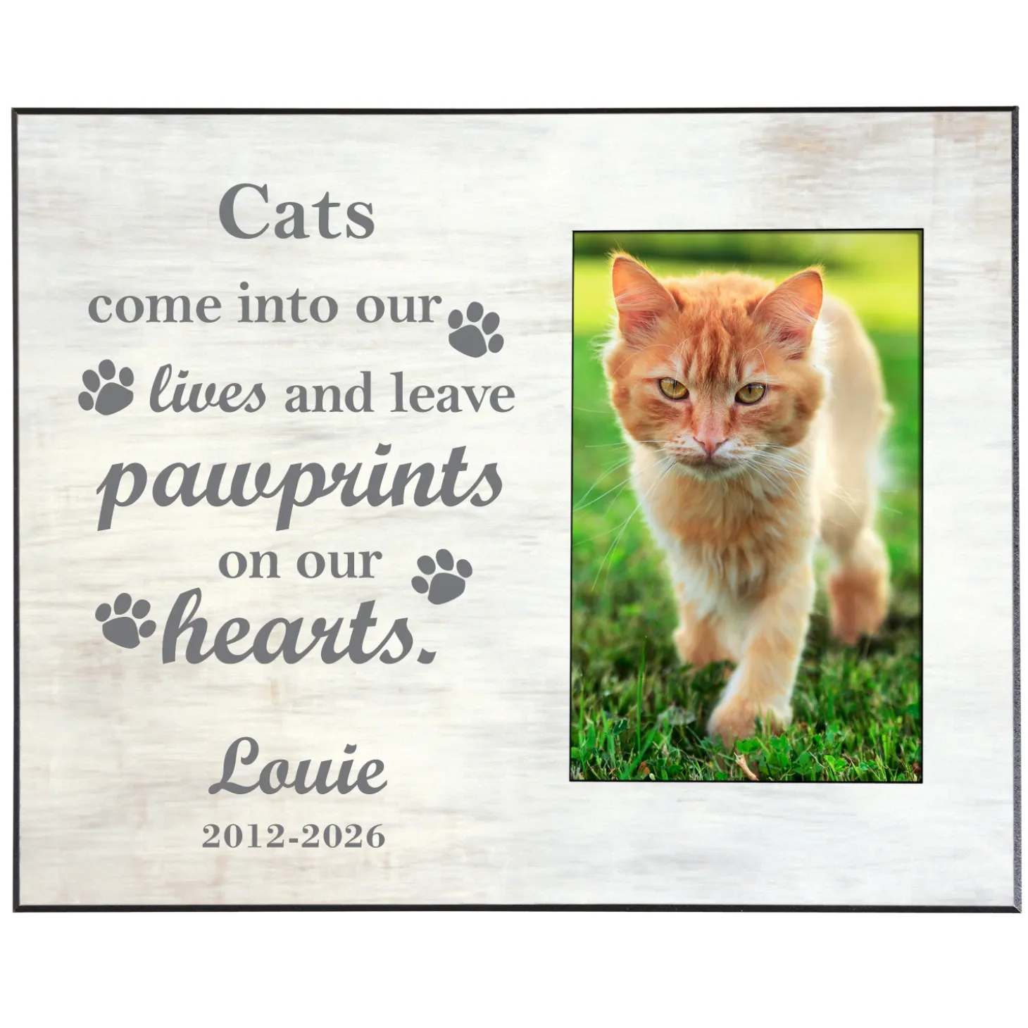 Pawprints in Heaven Frame