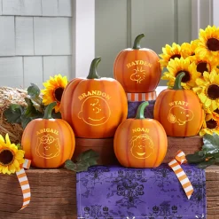 PEANUTS® Character Light-Up Pumpkin Patch