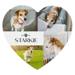 Pet Love Photo Wood Heart