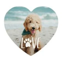 Pet Love Photo Wood Heart