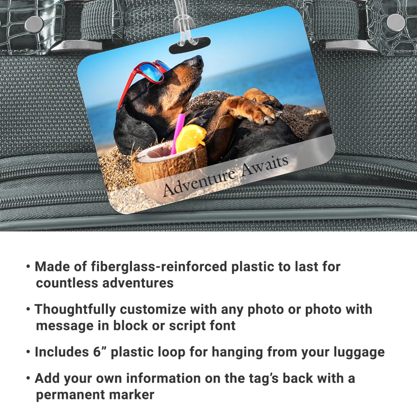 Picture-Perfect Photo Luggage Tag