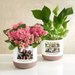 Picture-Perfect Photo Planter