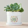 Plant Grow Bloom Planter with Tray