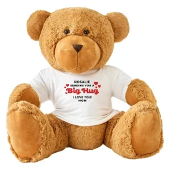 Plush Teddy Bear Gram Big Hug T-Shirt