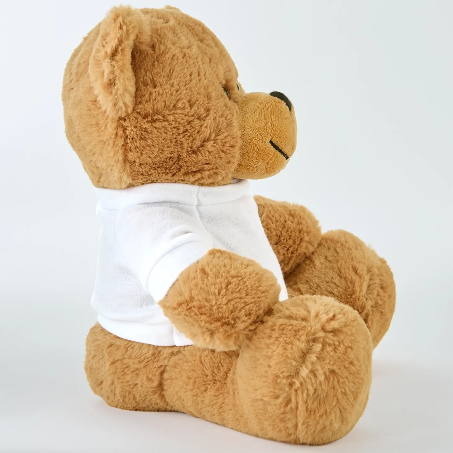 Plush Teddy Bear Gram Siblings T-Shirt