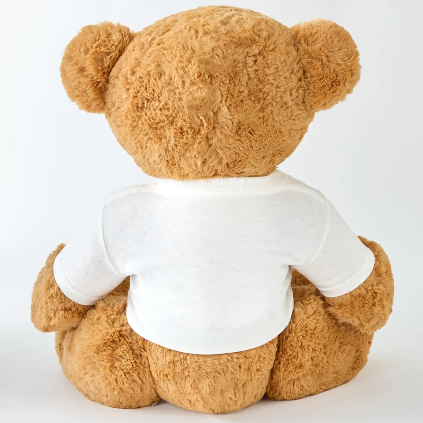 Plush Teddy Bear Gram Siblings T-Shirt
