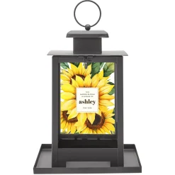 Sunflower Haven Bird Feeder