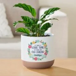 Takes Time to Grow Planter