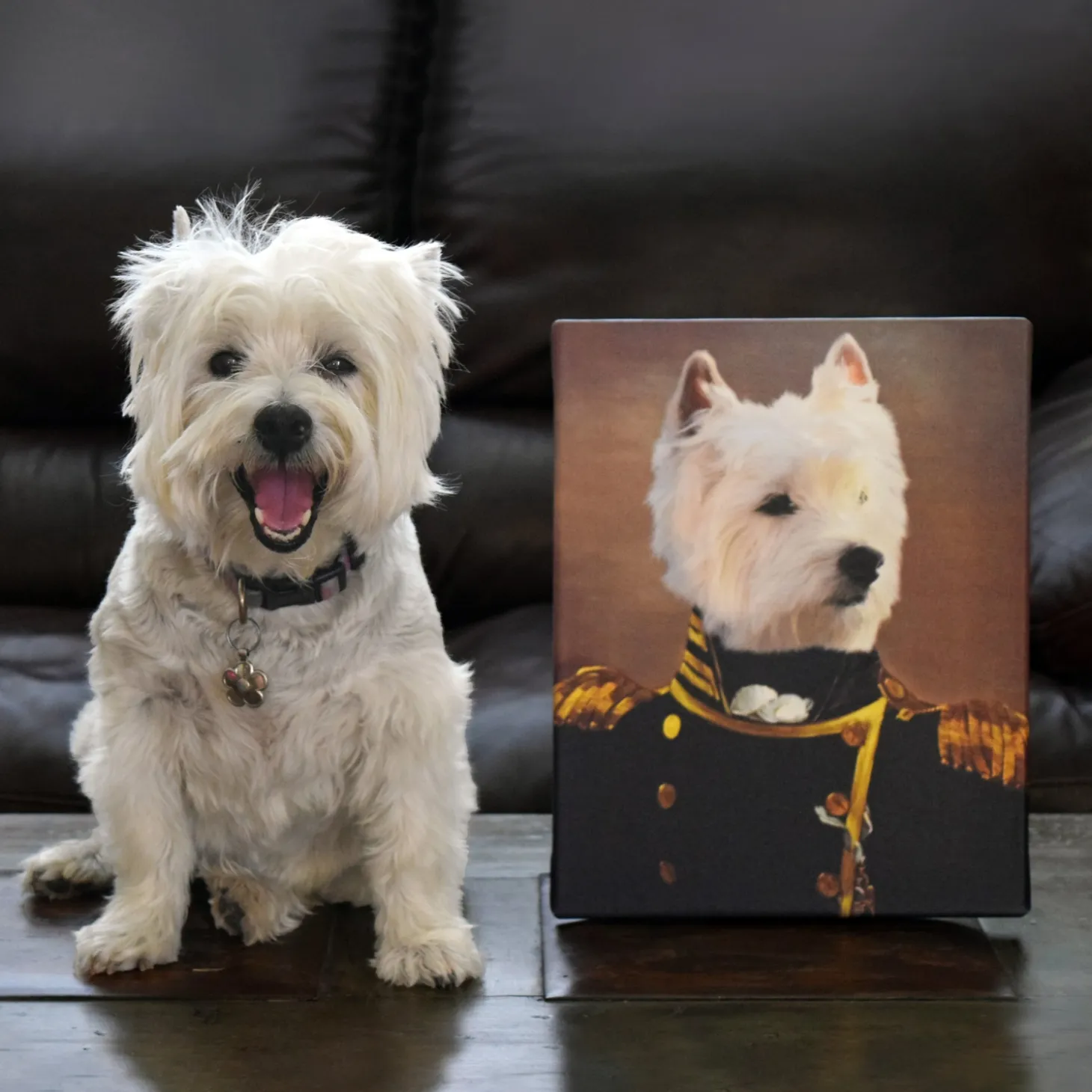 The Admiral Pet Photo Portrait