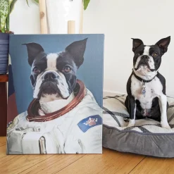 The Astronaut Pet Photo Portrait