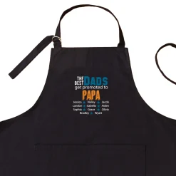 The Best Dads Get Promoted Apron