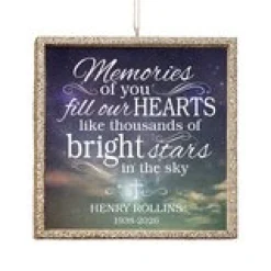 TwinkleBright® LED Memories of You Ornament