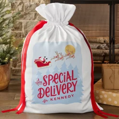 Very Special Delivery Oversized Gift Bag