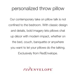 Where It All Began Throw Pillow